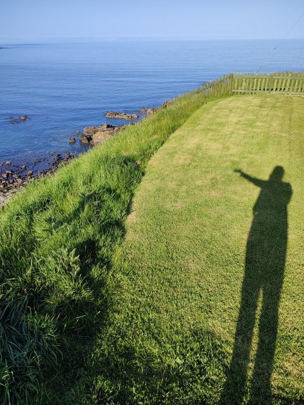 Shadow on grass looking out to sea